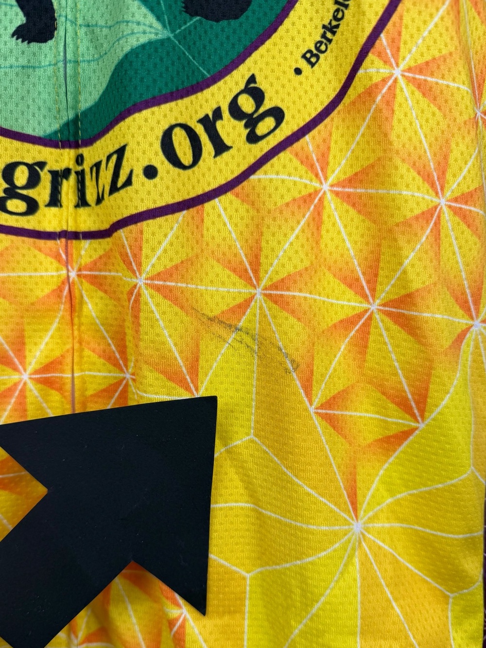 VOLER • Yellow/Purple Grizzly Peak Cyclists Short-Sleeve Cycling Jersey, XL - Picture 12 of 15
